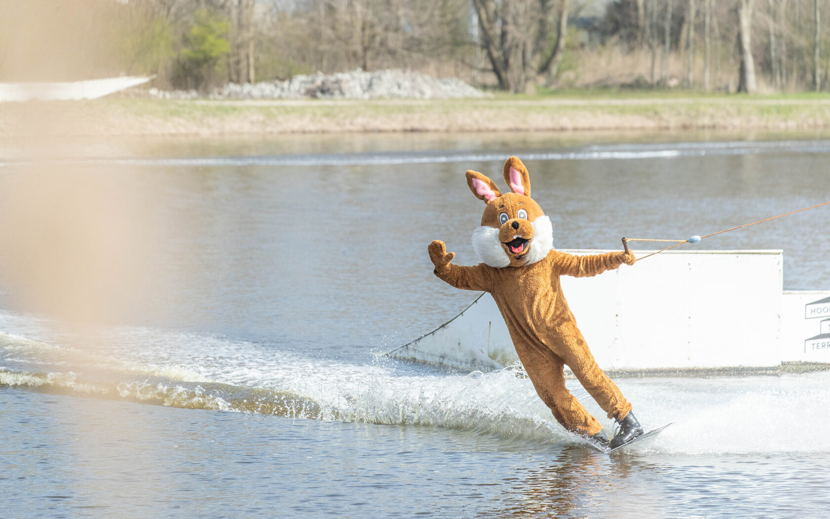 Osterhase auf dem Wakeboard