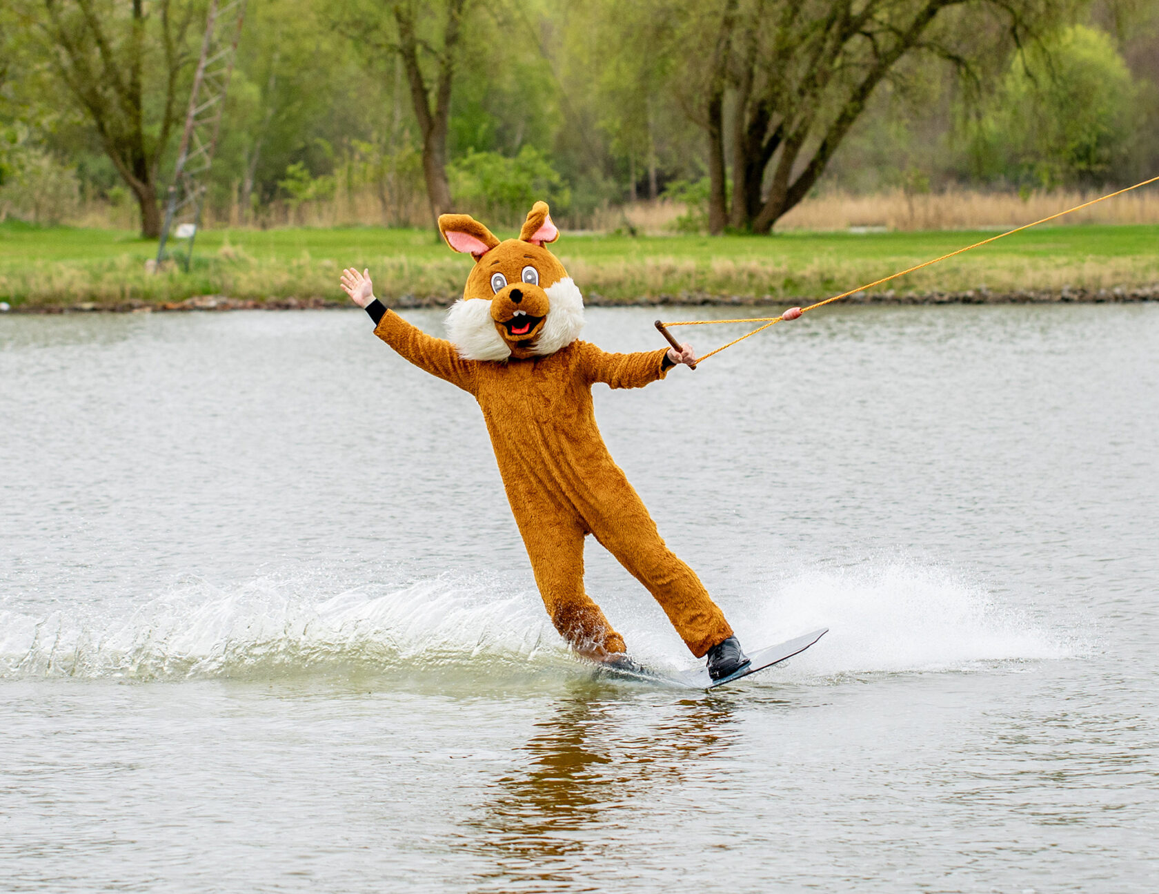 Osterhase fährt Wasserski