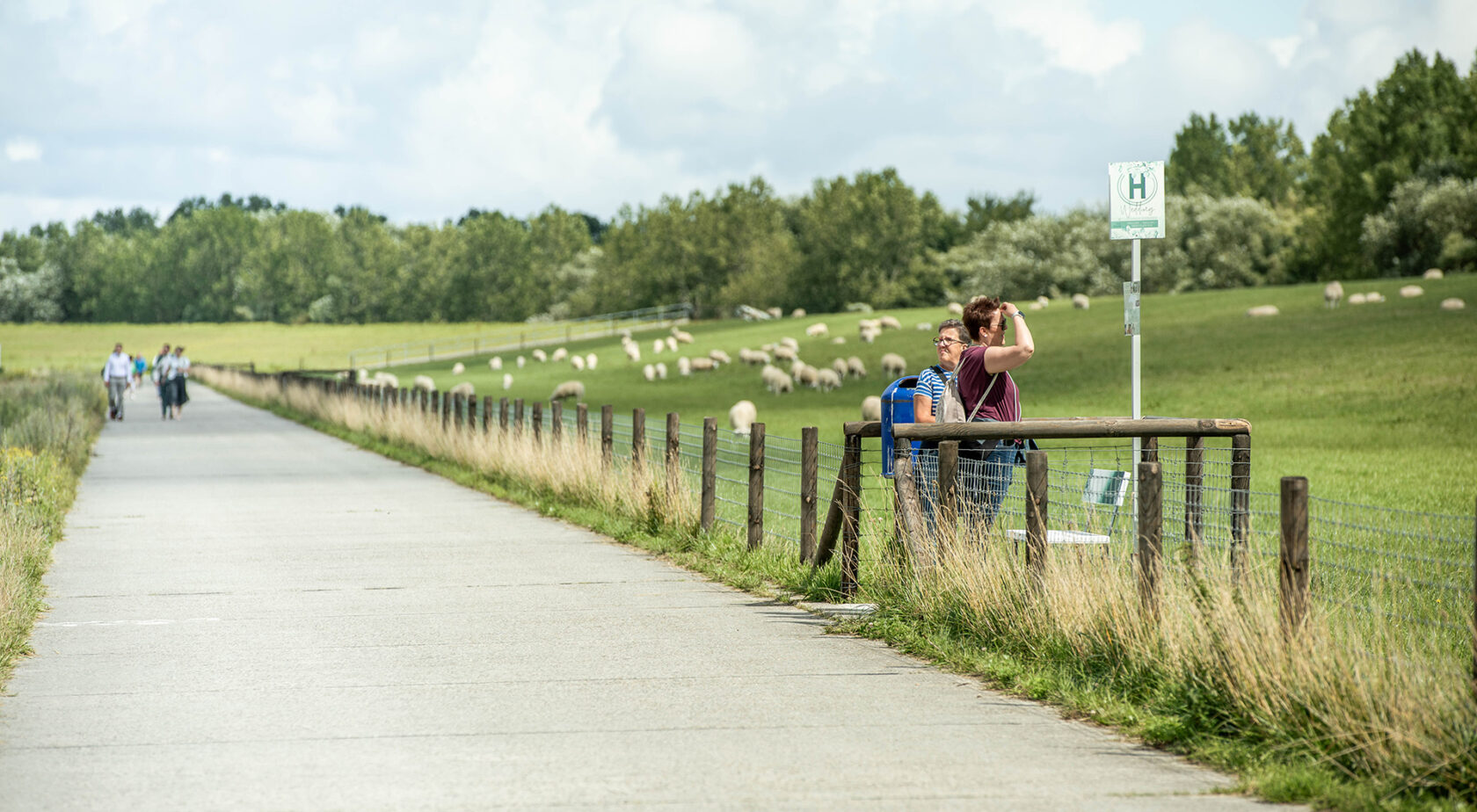 Boßeln, Teamaktivität, Winter, norddeutsch, Gruppen, sportlich, draußen, Hooksieler Strand